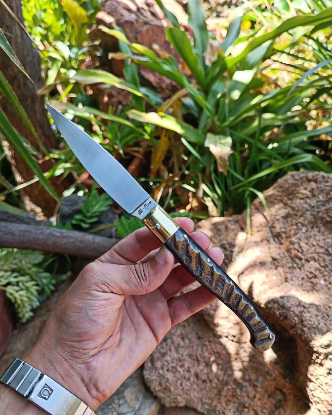 Foto coltello di Piras Elia