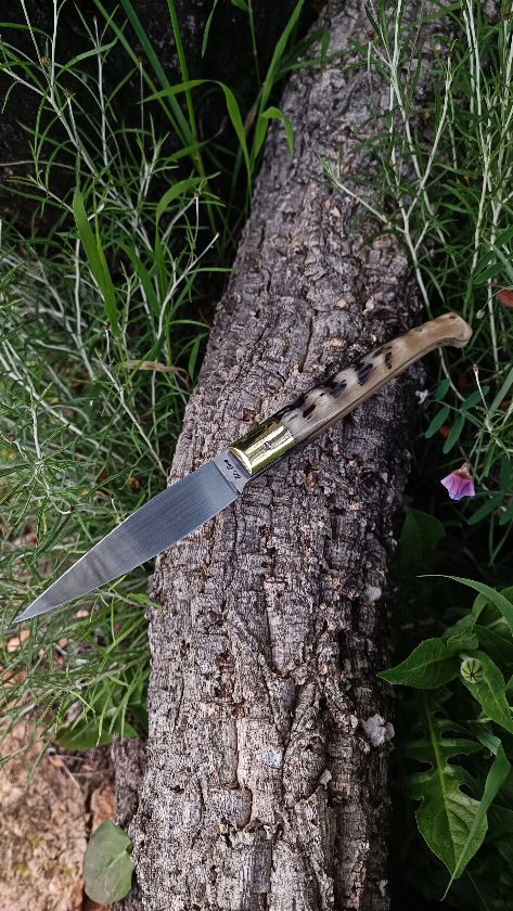 Foto coltello di Piras Elia
