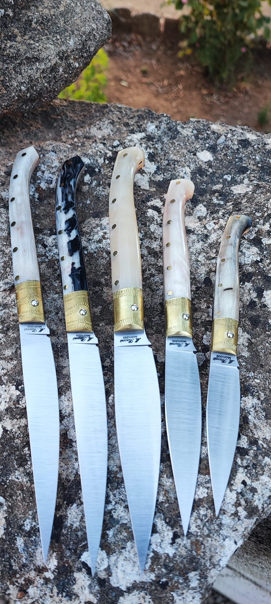Foto coltello di Raccis Michele